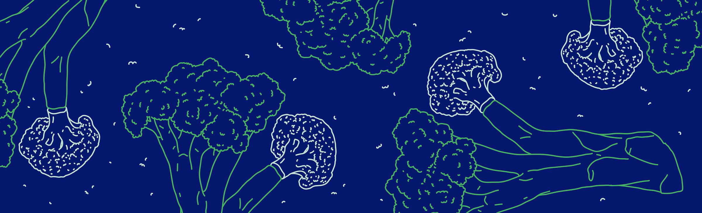 Line-art broccoli illustration on a dark blue background